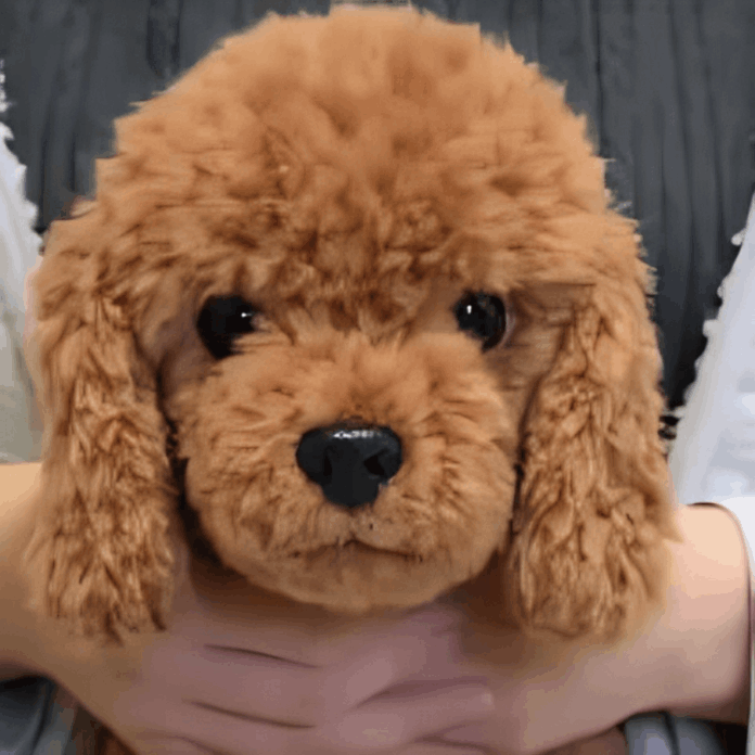 Wuffy Robot Puppy customer~~Melinda T. – Illinois, USA